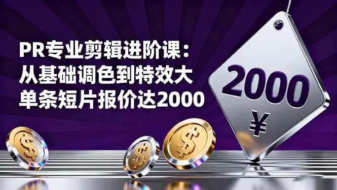 PR专业剪辑进阶课:从基础调色到特效大片的进阶技能-无双副业