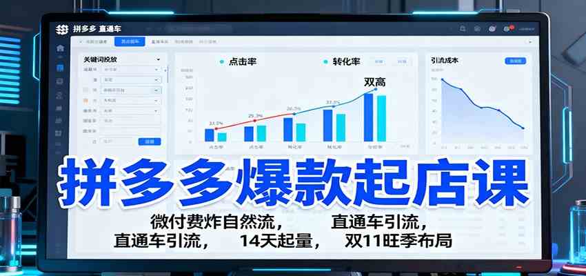 拼多多爆款起店课:微付费炸自然流直通车引流双11旺季布局-无双副业