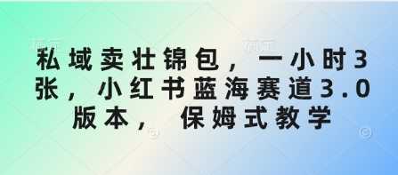 私域卖壮锦包一小时3张，小红书蓝海赛道保姆式教学-无双副业