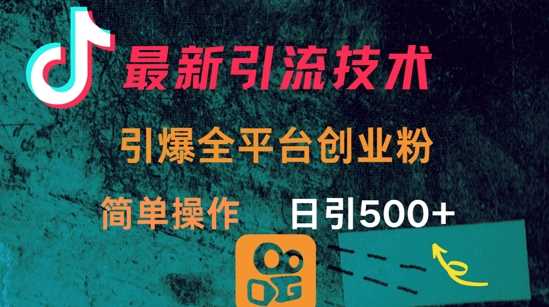 最新引流方法，简单操作日引300+创业粉-无双副业
