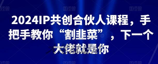 2024IP共创合伙人课程，打造个人品牌成为行业领袖-无双副业