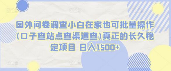 国外问卷调查在家操作指南 稳定日入1500+-无双副业