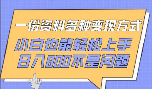 多种变现方式轻松上手，小白日入800不是问题-无双副业