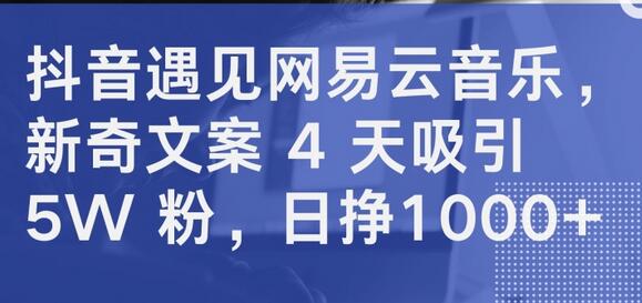 抖音与网易云音乐结合，4天吸引5万粉丝，日赚1000+-无双副业