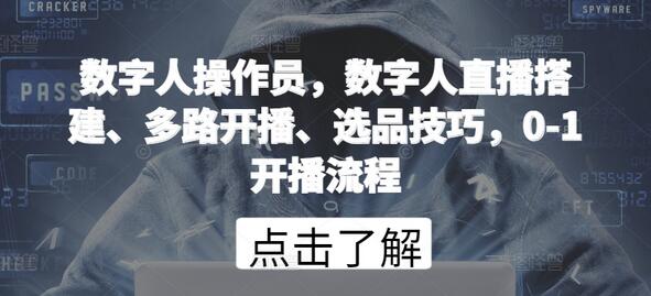 数字人直播操作全流程与多平台开播技巧-无双副业