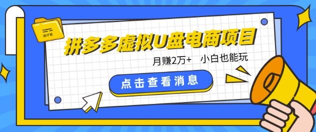 拼多多虚拟U盘电商项目：新手月赚2万+-无双副业