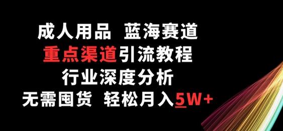 成人用品行业深度解析与引流变现教程，轻松月入5W+-无双副业