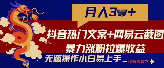 抖音文案与网易云截图涨粉变现技巧，新手快速上手-无双副业