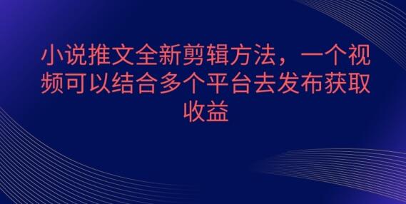 小说推文视频剪辑技巧与多平台发布策略-无双副业