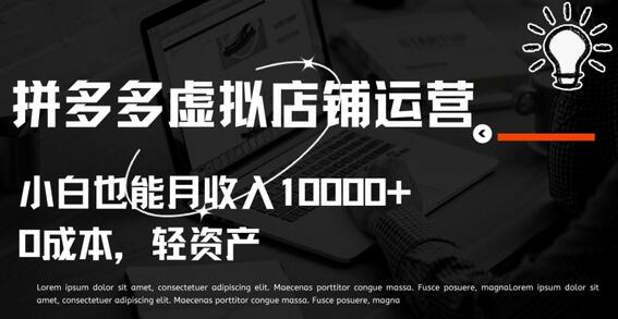 拼多多虚拟店铺运营轻松实现月入过万-无双副业