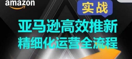 亚马逊高效推新运营全流程，快速提升产品排名与销量-无双副业