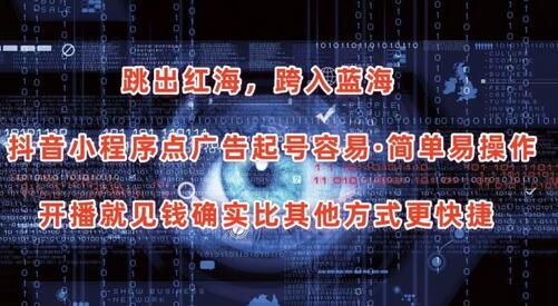 抖音小程序广告项目，简单操作快速收益-无双副业
