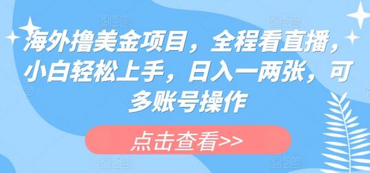 海外直播赚美金项目，小白轻松上手，多账号操作-无双副业
