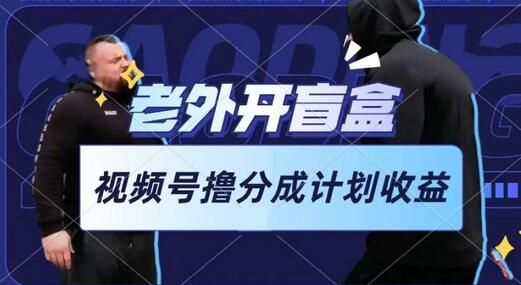老外开盲盒视频，轻松玩转视频号分成计划-无双副业