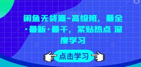 闲鱼无货源高级班：最新运营技巧与深度解析-无双副业