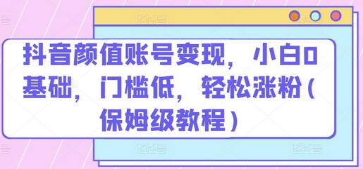 抖音颜值账号变现教程，0基础轻松涨粉与赚钱指南-无双副业
