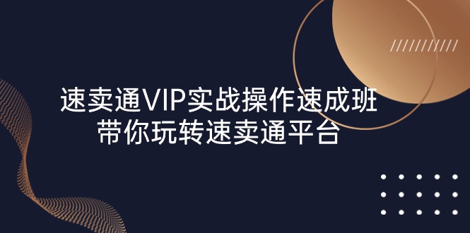 速卖通VIP实战操作速成班，23节课程带你玩转平台-无双副业