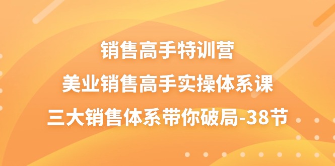 美业销售高手实操体系课，三大销售体系带你破局-无双副业