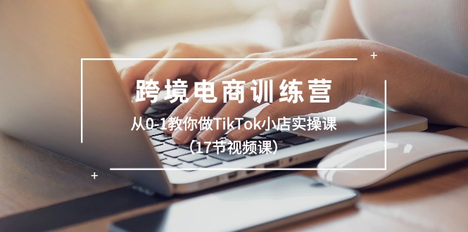 跨境电商训练营：从0-1教你做TikTok小店实操课-无双副业