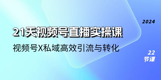 21天视频号直播实操课：高效引流与转化策略-无双副业