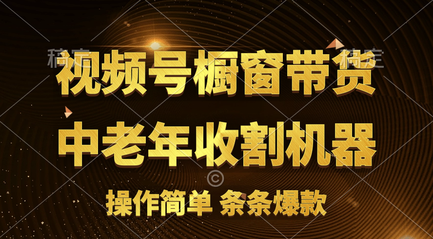 视频号最火爆赛道：橱窗带货与流量分成计划-无双副业