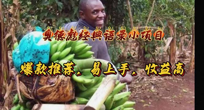 奥德彪经典语录掘金项目，爆款推荐易上手收益高-无双副业