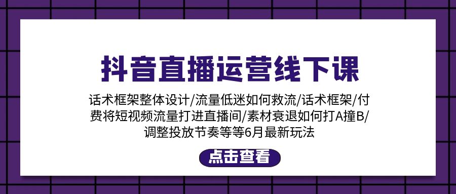 抖音直播运营线下课：话术框架与付费流量新玩法-无双副业