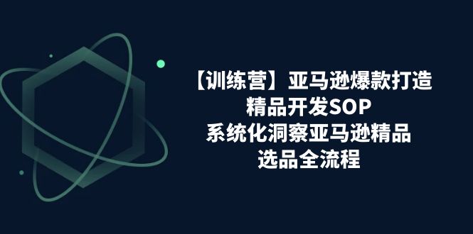 亚马逊爆款打造精品开发SOP，系统化选品全流程解析-无双副业