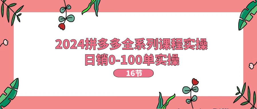 2024拼多多全系列课程实操，日销0-100单实战教程-无双副业