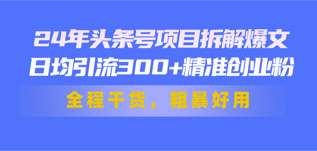 24年头条号项目拆解：日均引流300+创业粉实战教程-无双副业