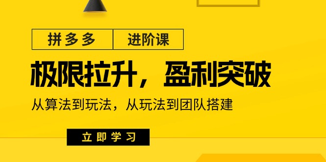 拼多多进阶课：从算法到团队搭建的盈利突破策略-无双副业