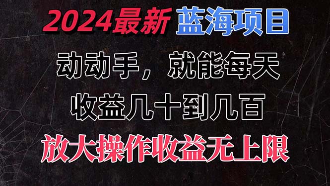 2024全新蓝海项目，轻松操作每天收益几十到几百-无双副业
