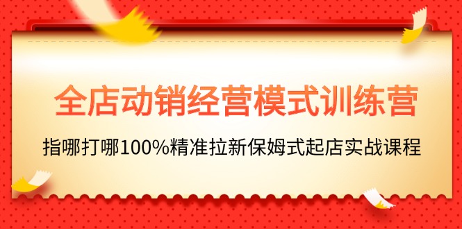 全店动销经营模式训练营，精准拉新保姆式起店实战课程-无双副业