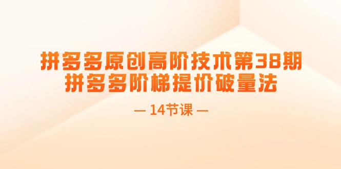 拼多多阶梯提价破量法高阶技术课程（14节）-无双副业