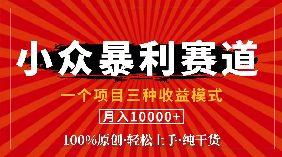 视频号中老年粉小众赛道原创教学，新号3天快速收益-无双副业