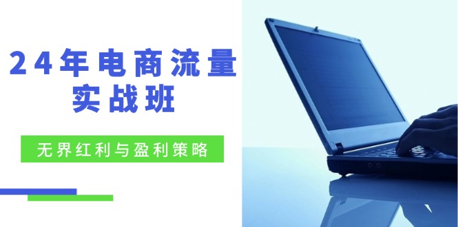 24年电商流量实战班：无界红利与盈利策略-无双副业