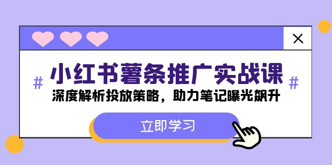 小红书薯条推广实战课：深度解析投放策略与技巧-无双副业