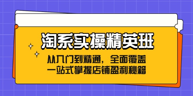 淘系实操精英班：全面掌握店铺盈利秘籍-无双副业