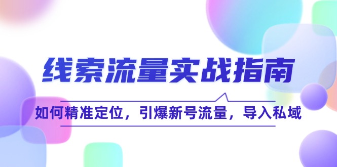 线索流量实战指南：精准定位与私域流量导入策略-无双副业