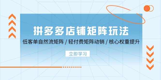 拼多多店铺矩阵玩法：自然流与轻付费动销策略-无双副业