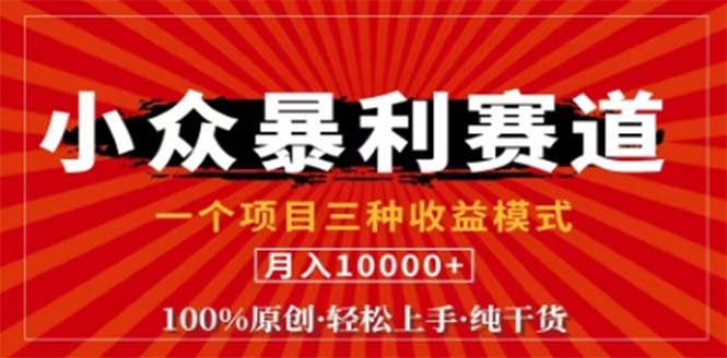 视频号爆火赛道揭秘：三种收益模式助你日入千元-无双副业