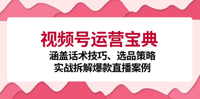 视频号运营全攻略：话术技巧、选品策略与爆款直播案例解析-无双副业