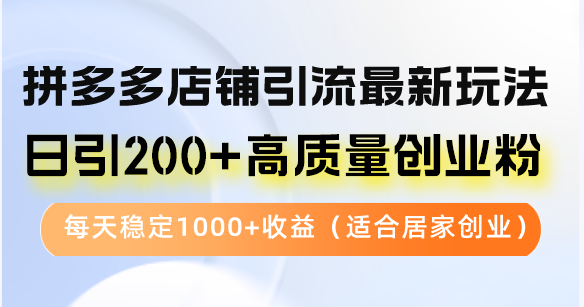 拼多多店铺引流新玩法，日引200+创业粉稳定收益1000+-无双副业