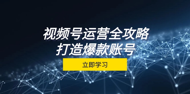 视频号运营全攻略：从定位到成交一站式学习-无双副业