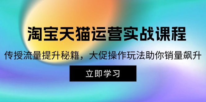 淘宝天猫运营实战课程：流量提升与大促操作全攻略-无双副业