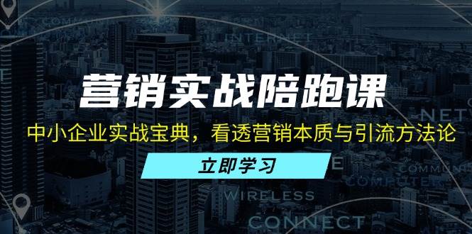 中小企业营销实战宝典：本质与引流方法论-无双副业