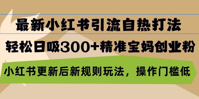 小红书引流新策略，轻松吸引300+精准宝妈创业粉-无双副业