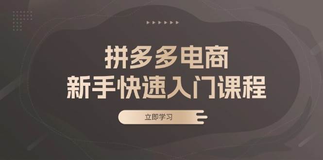 拼多多电商新手入门课程：基础、实战与选款全攻略-无双副业