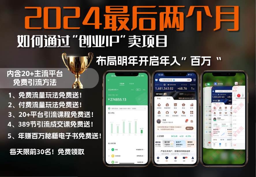 2024年通过创业IP卖项目实现年入百万的终极指南-无双副业