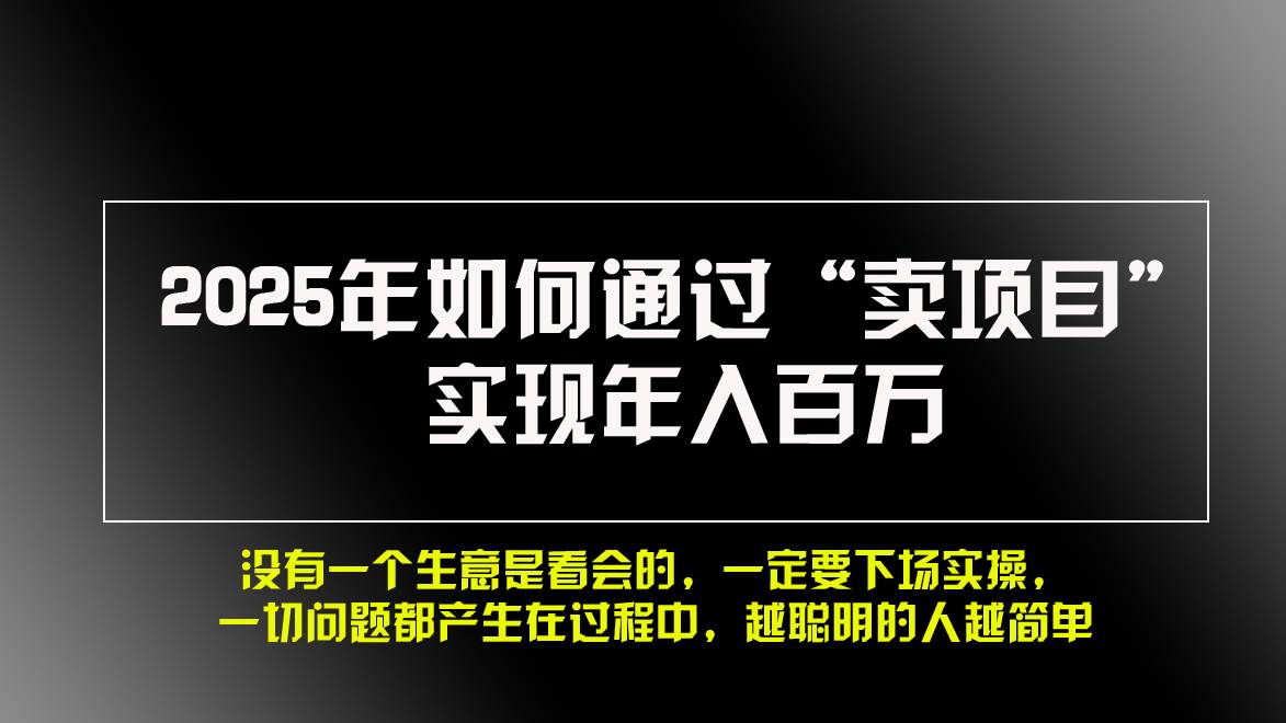 2025年通过“卖项目”实现年入百万的网赚指南-无双副业